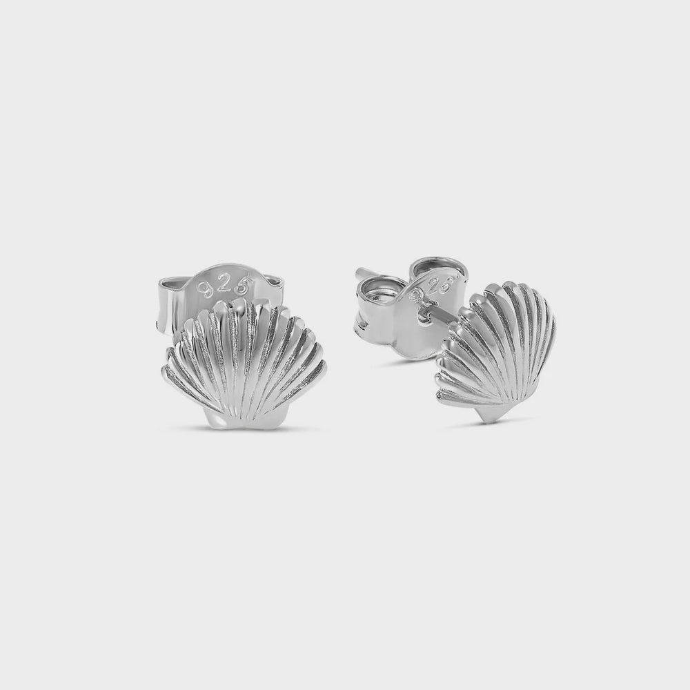 Dainty Seashell Studs - Silver